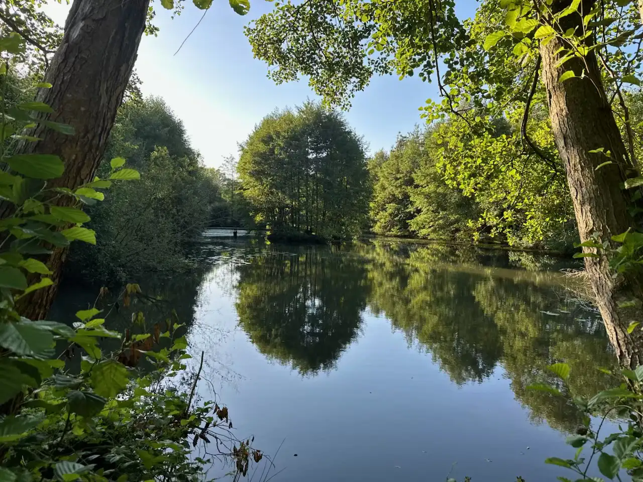 Les étang de St Jean