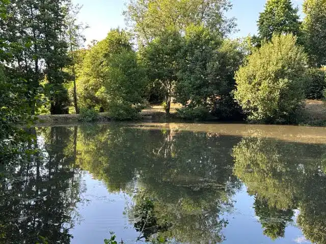 Hébergement insolite au bord d'un étang privé